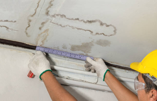 Reliable Mold Remediation contractor in New Ipswich, NH by Water Damage Irwin
